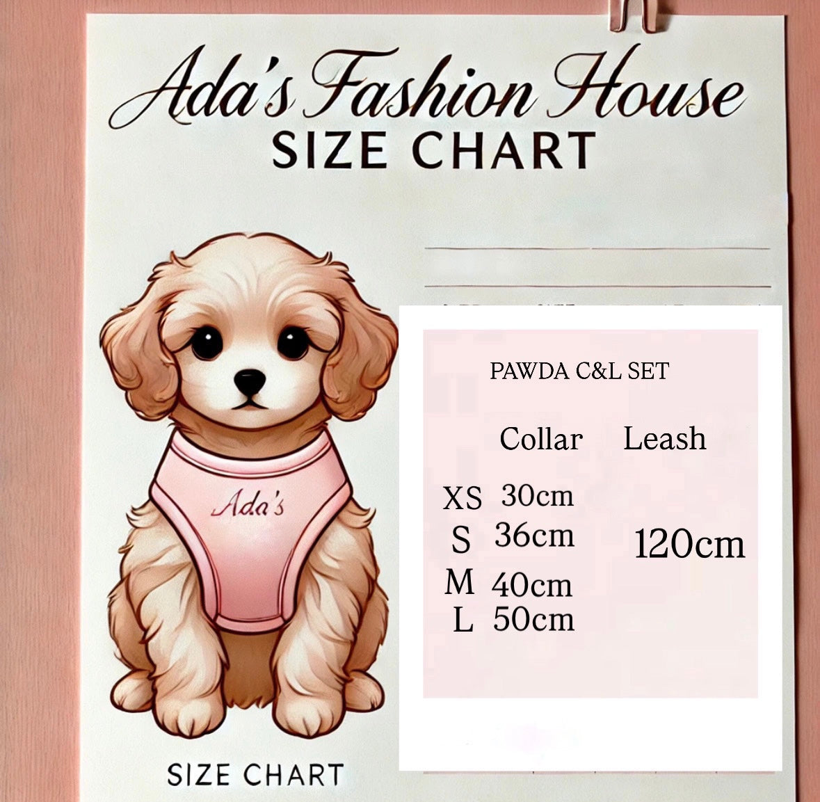PAWDA COLLAR & LEASH SET