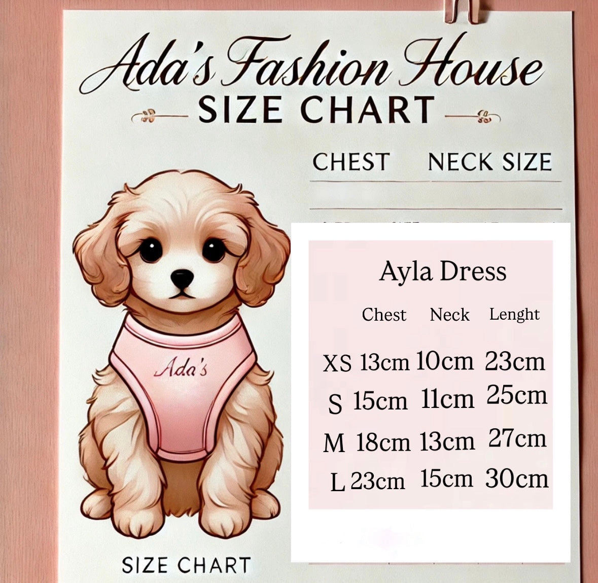 AYLA DRESS & ACCESSORIES
