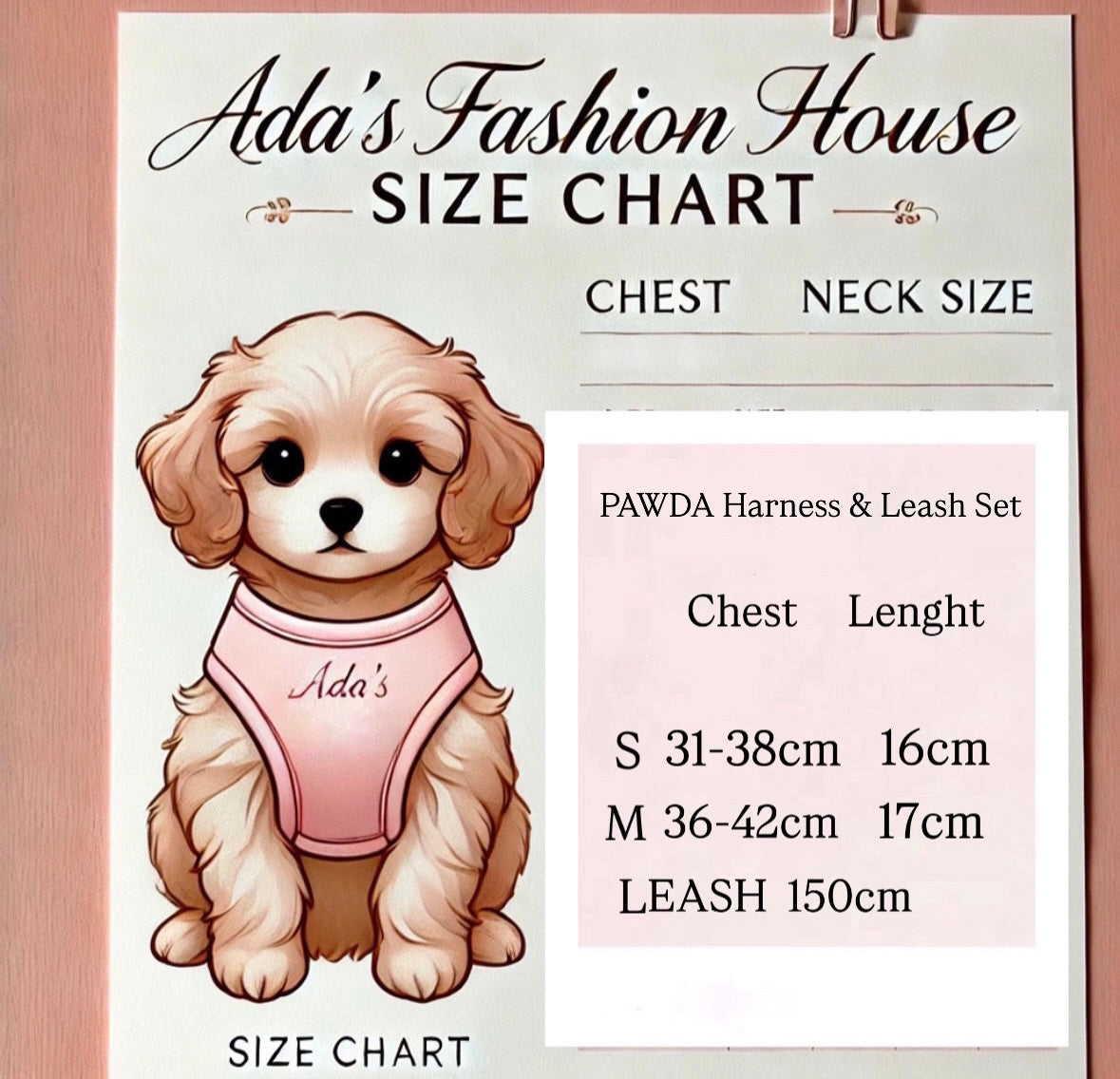 PAWDA Harness & Leash Set
