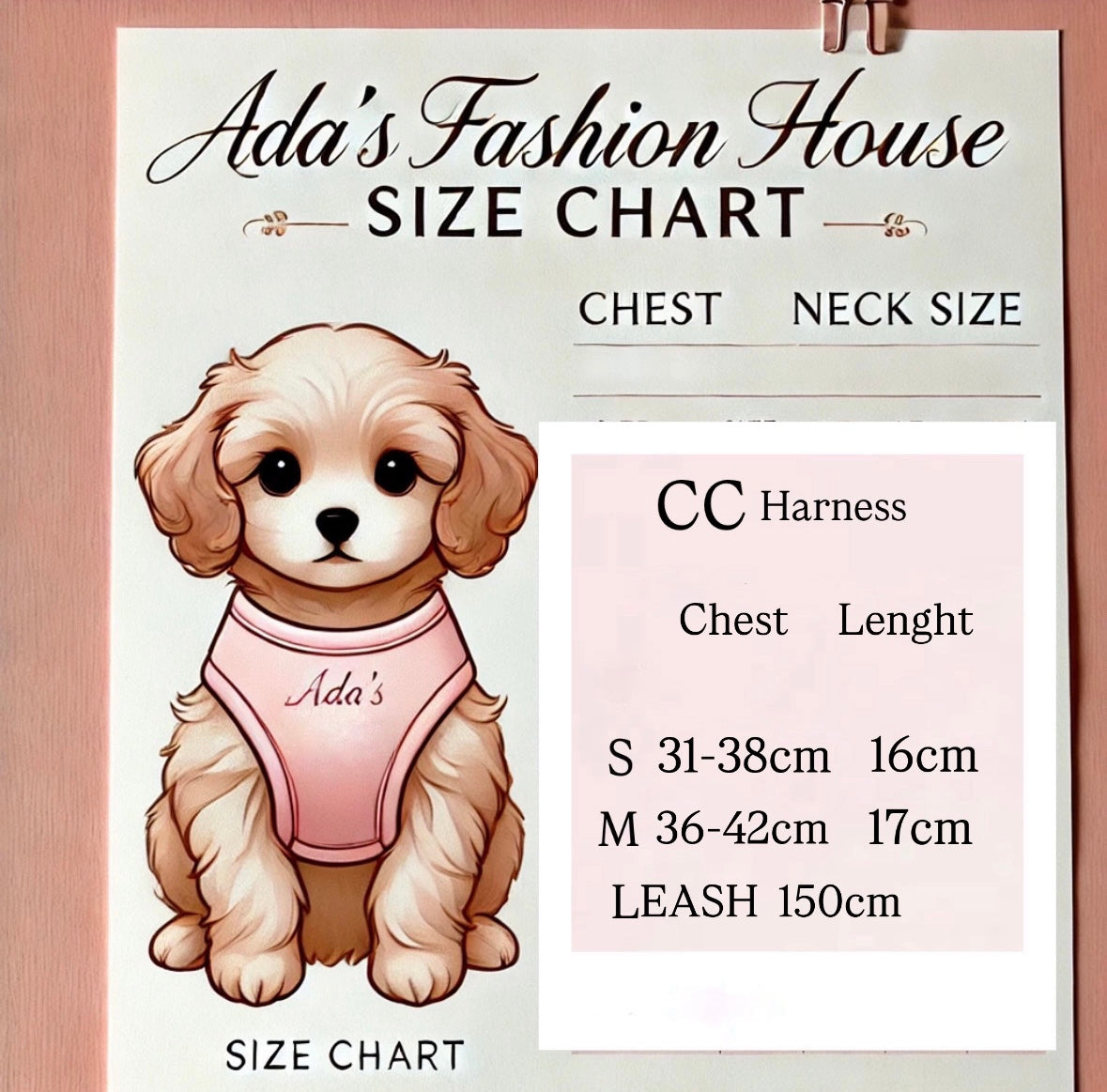 CC Harness & Leash Set