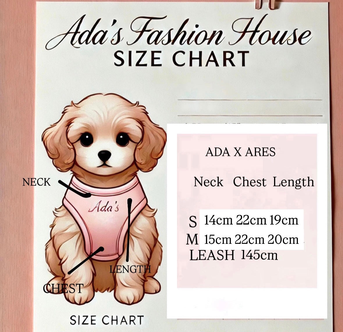 ADA x ARES DISNEY HARNESS & LEASH SET