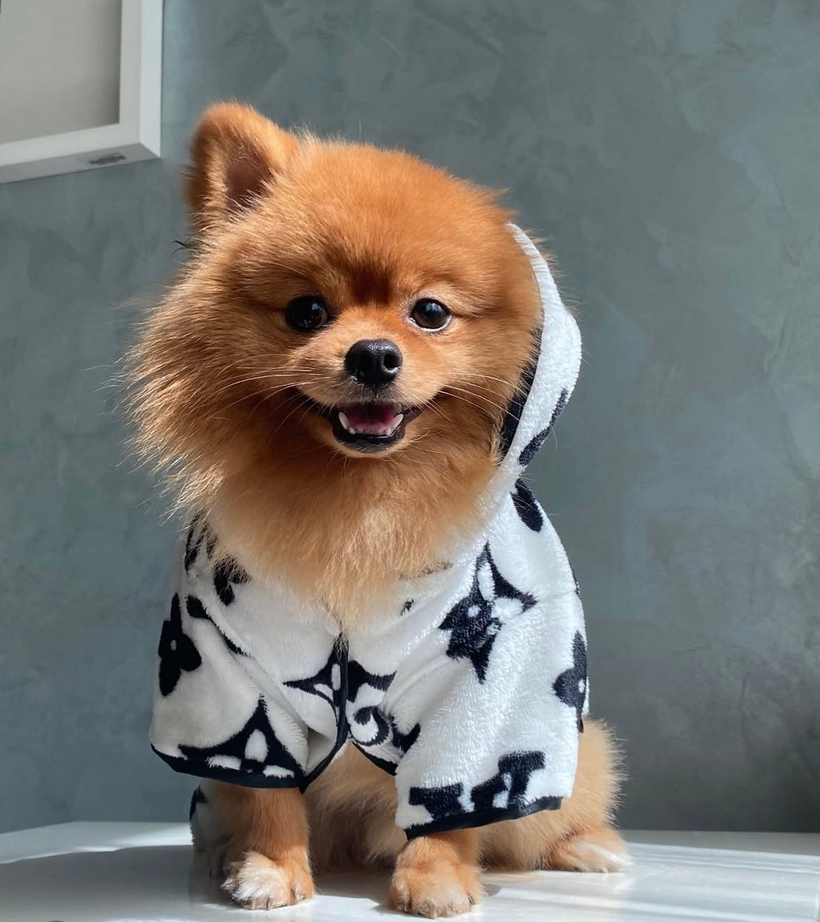 VI Bathrobe