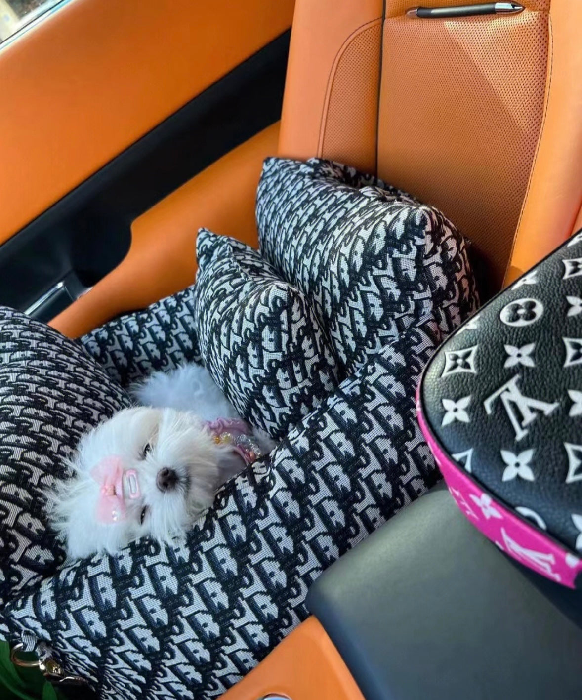 CozyCruise Dog Bed