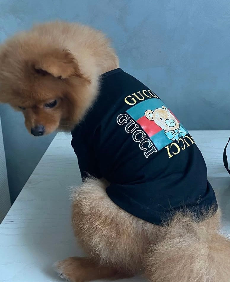 Gigi x Kai Tee