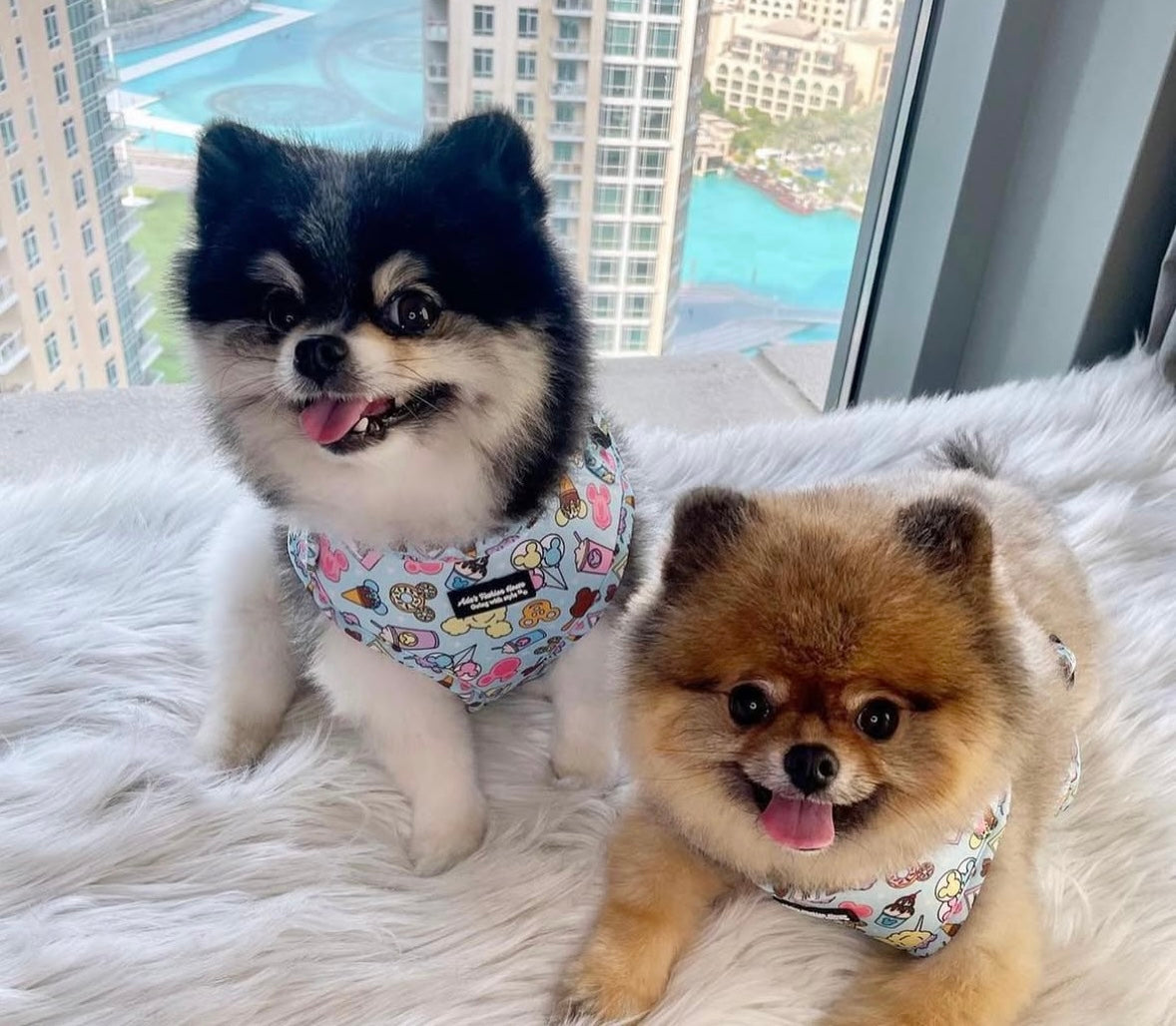 ADA x ARES DISNEY HARNESS & LEASH SET