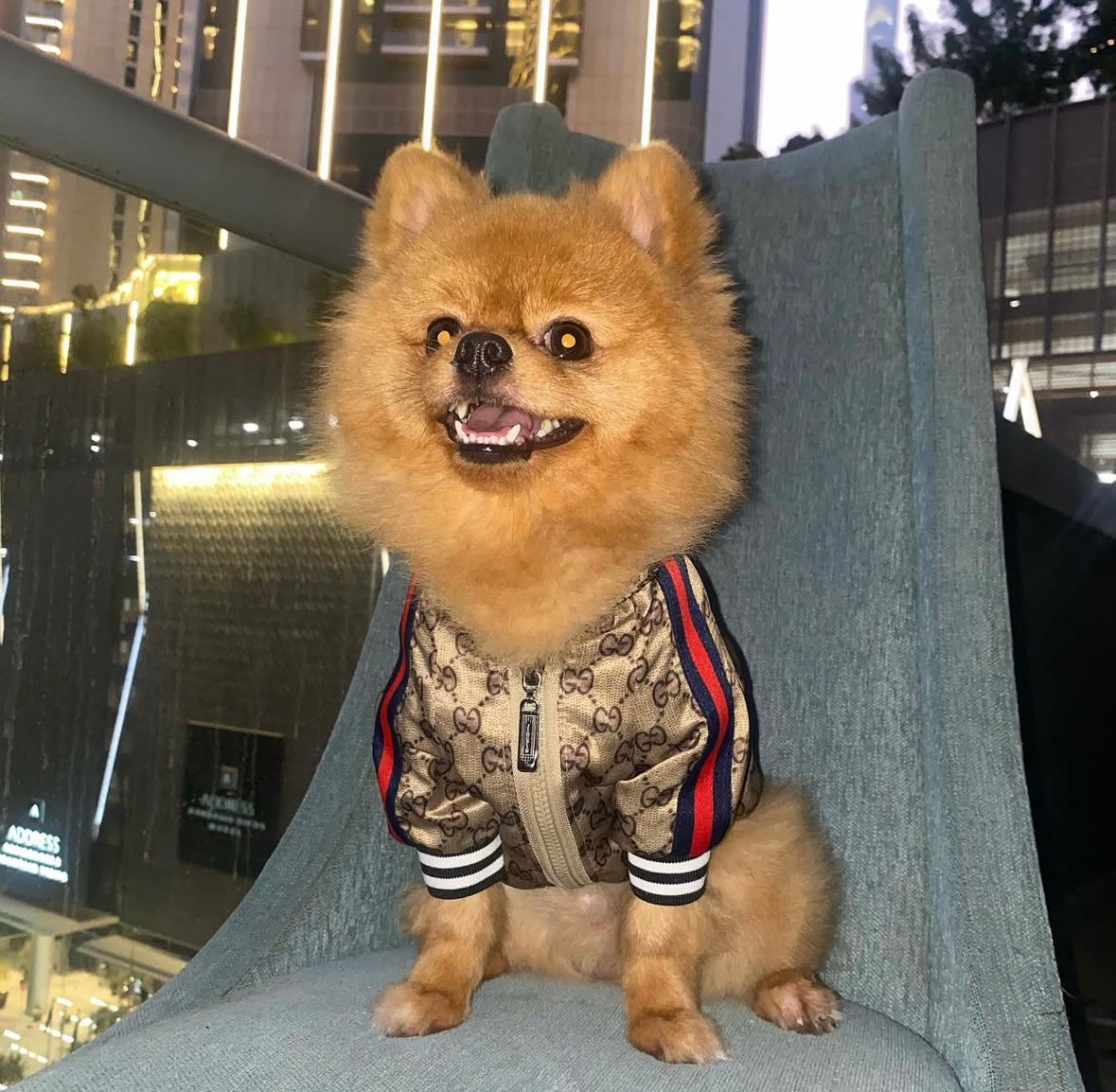GG Monogram Jacket
