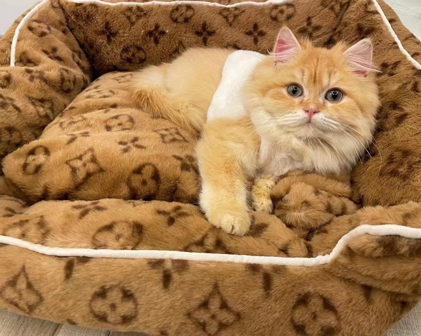 VI Comfy Bed