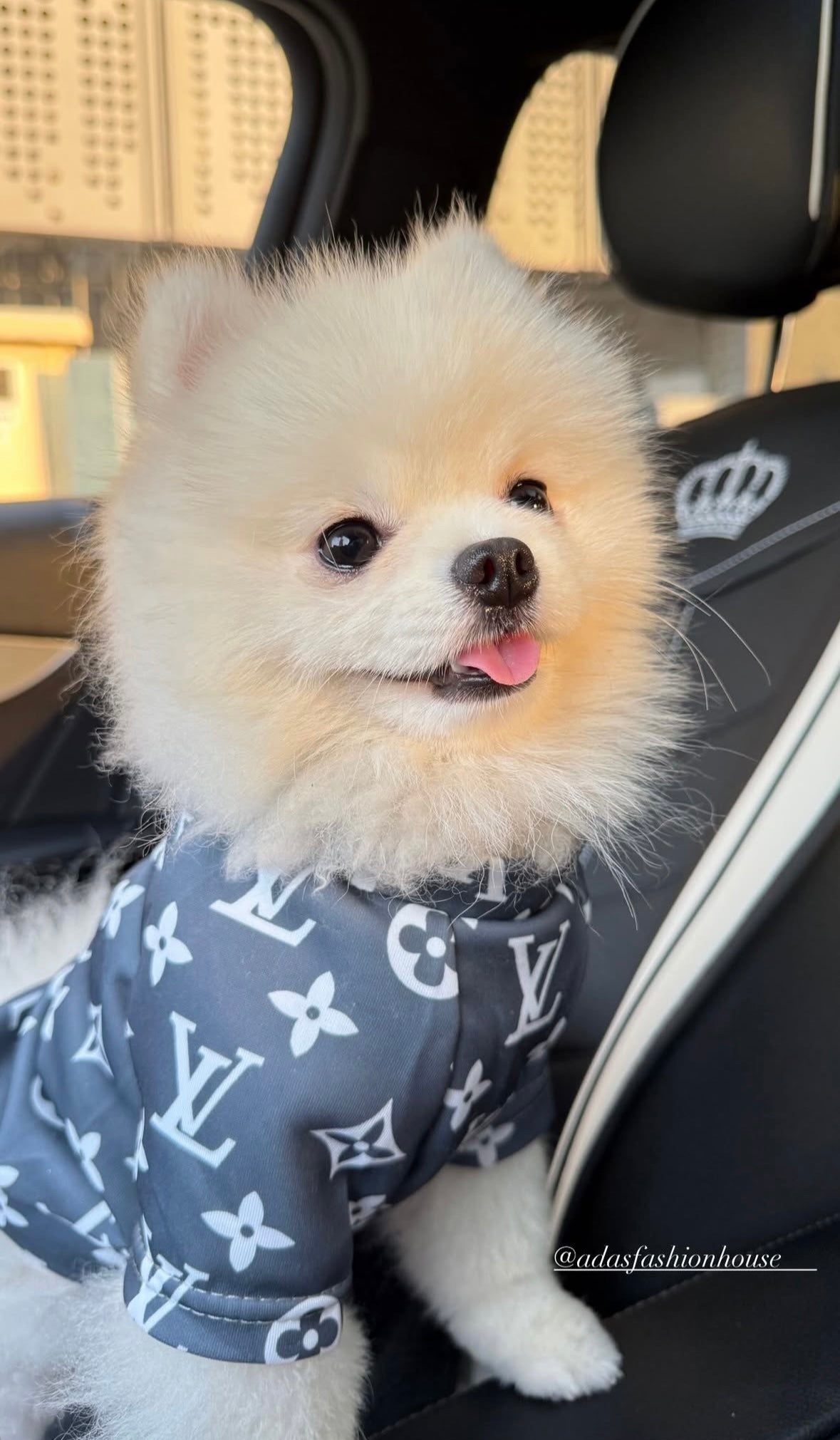 VI Monogram Tee
