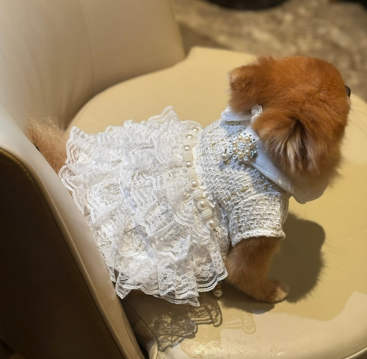 AYLA DRESS & ACCESSORIES