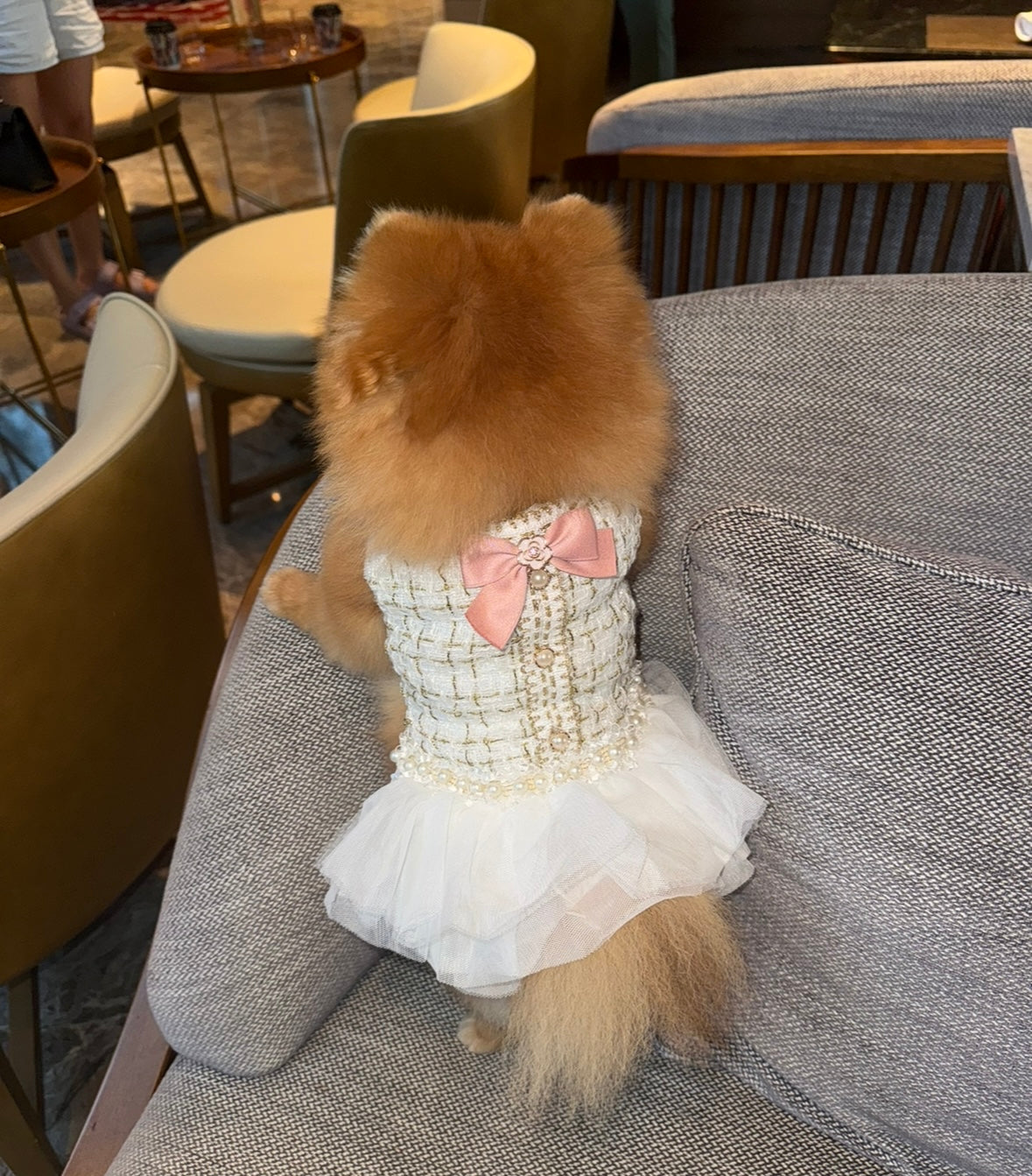 ADA’S ROYAL DRESS