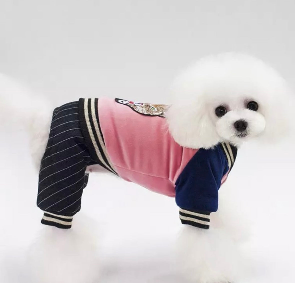 Kinzo Tracksuit
