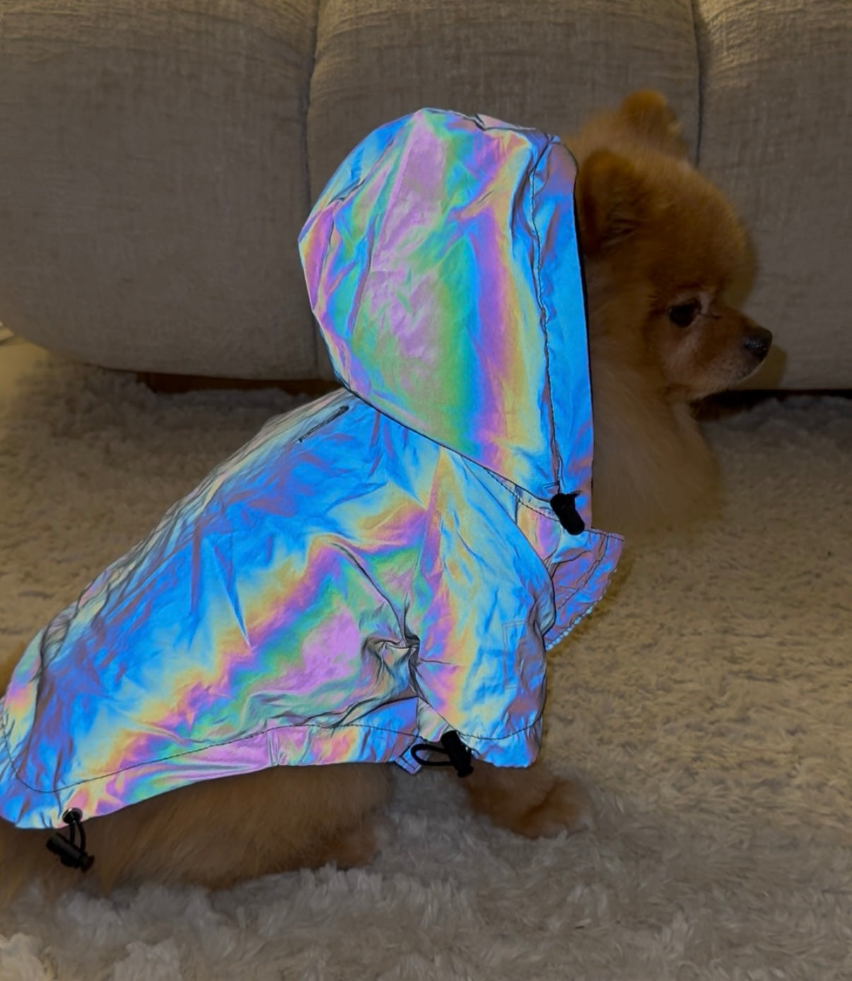Reflektive WindBreaker
