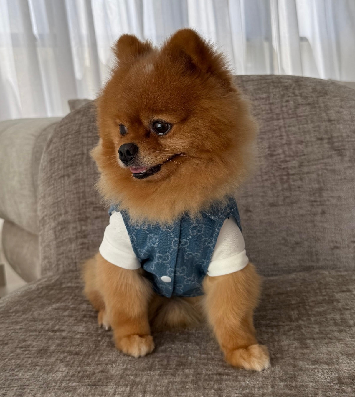 GiGi Denim Vest