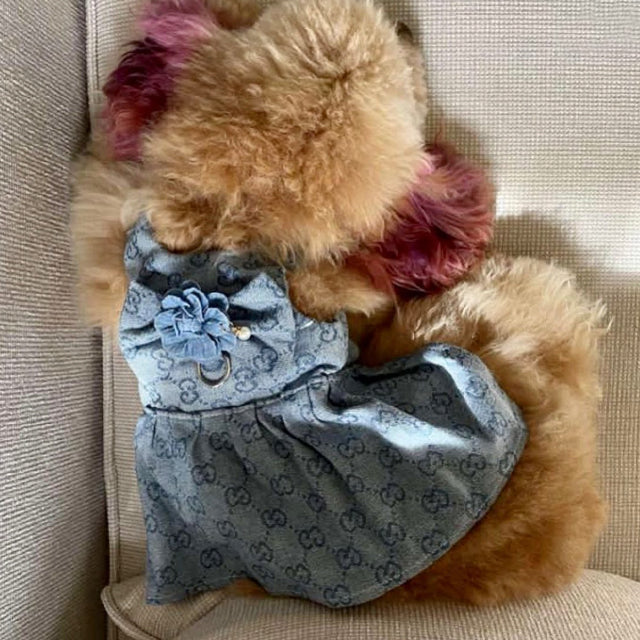 Denim Butterfly Harness Skirt & Leash