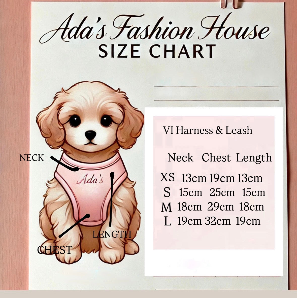 V Harness & Leash