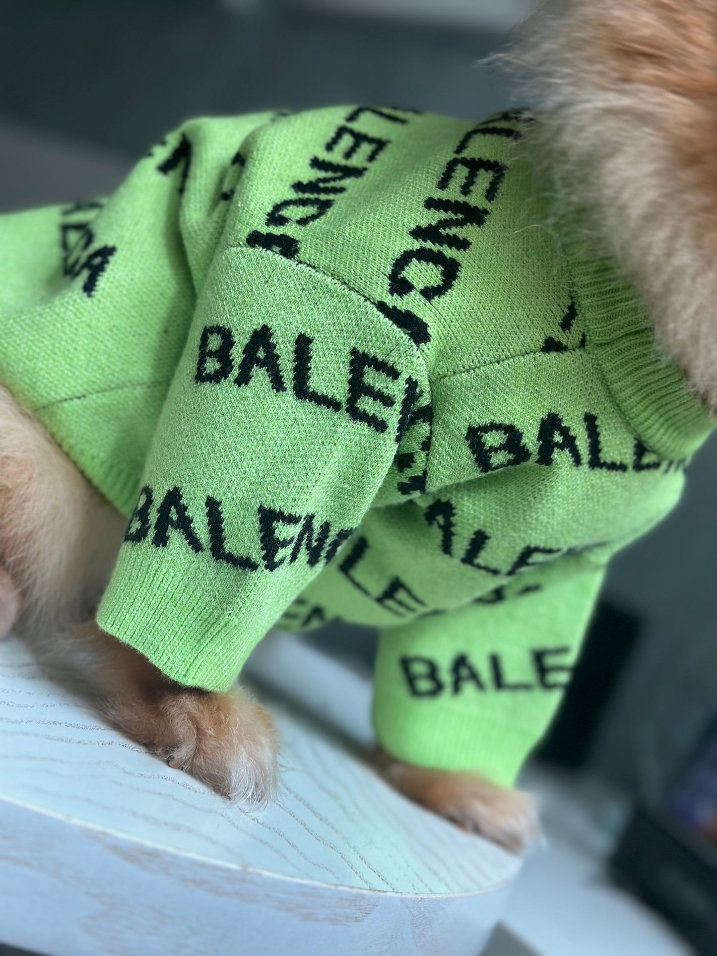 Balenca Sweater