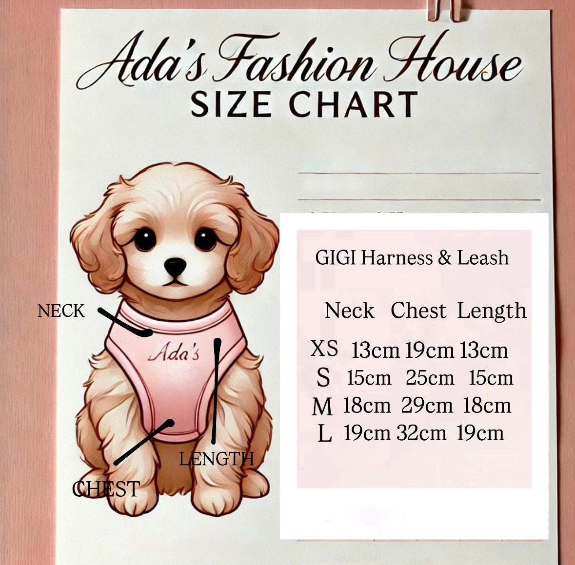 Gigi Harness & Leash