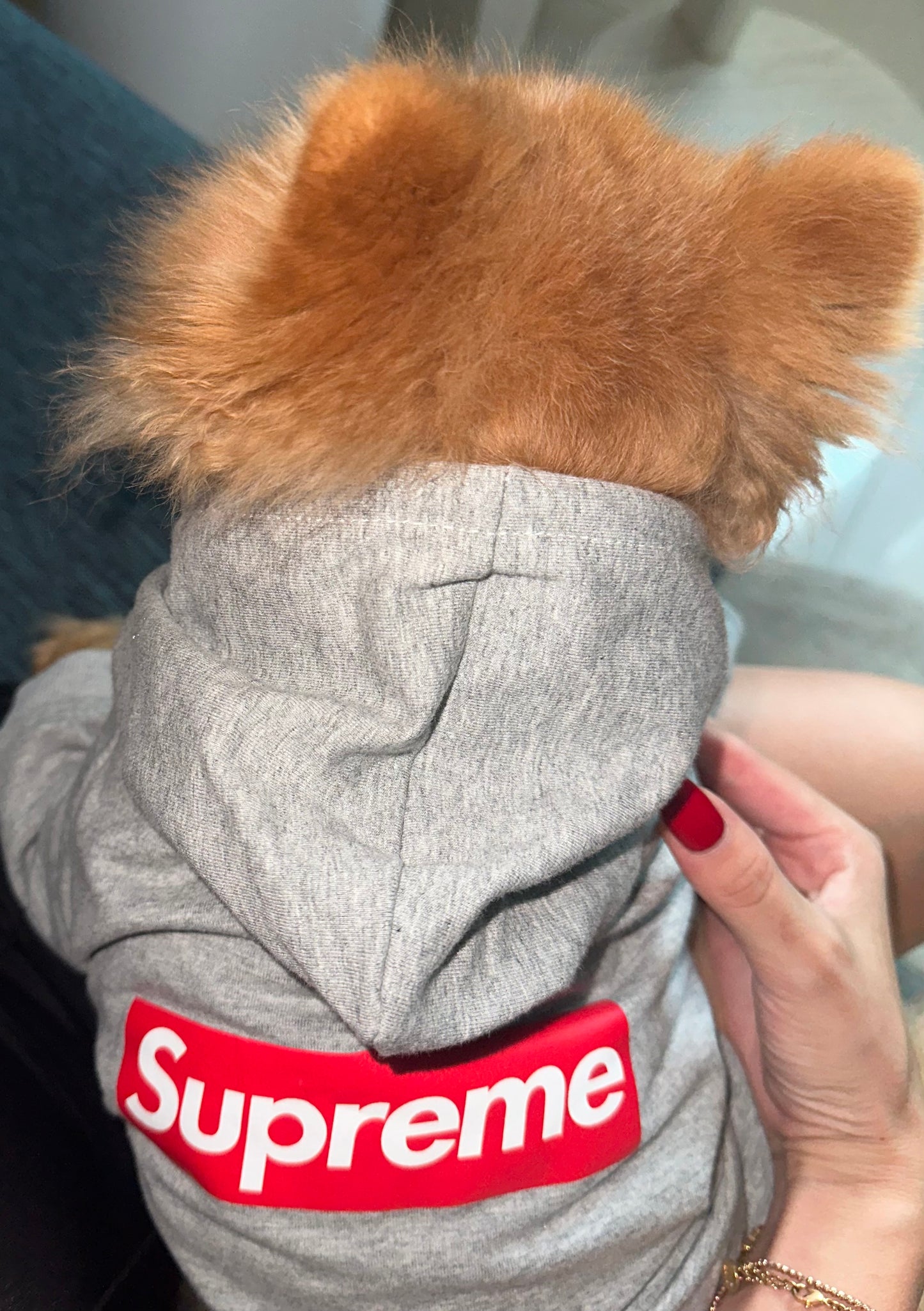 Pupreme Hoodie