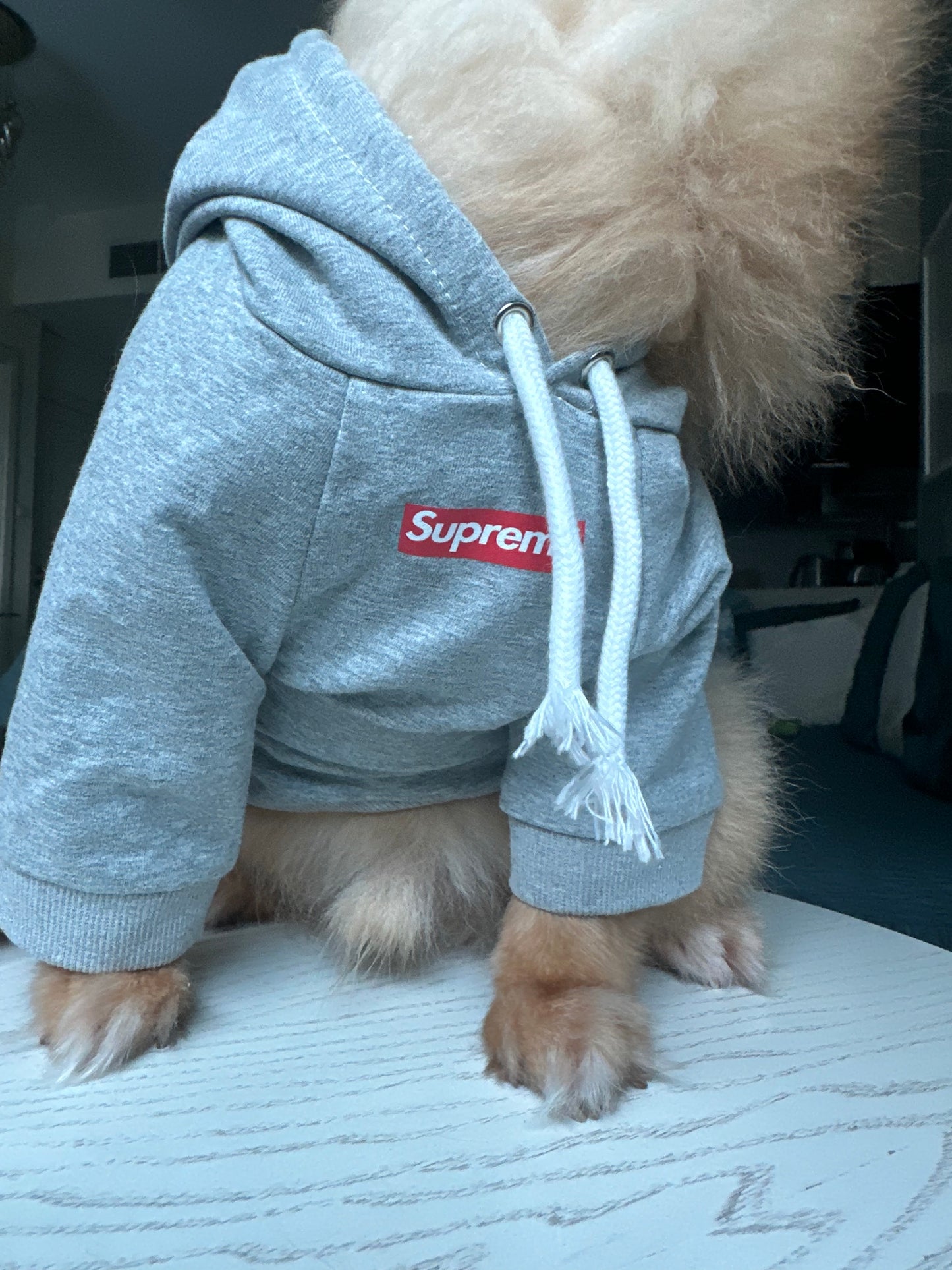 Pupreme Hoodie