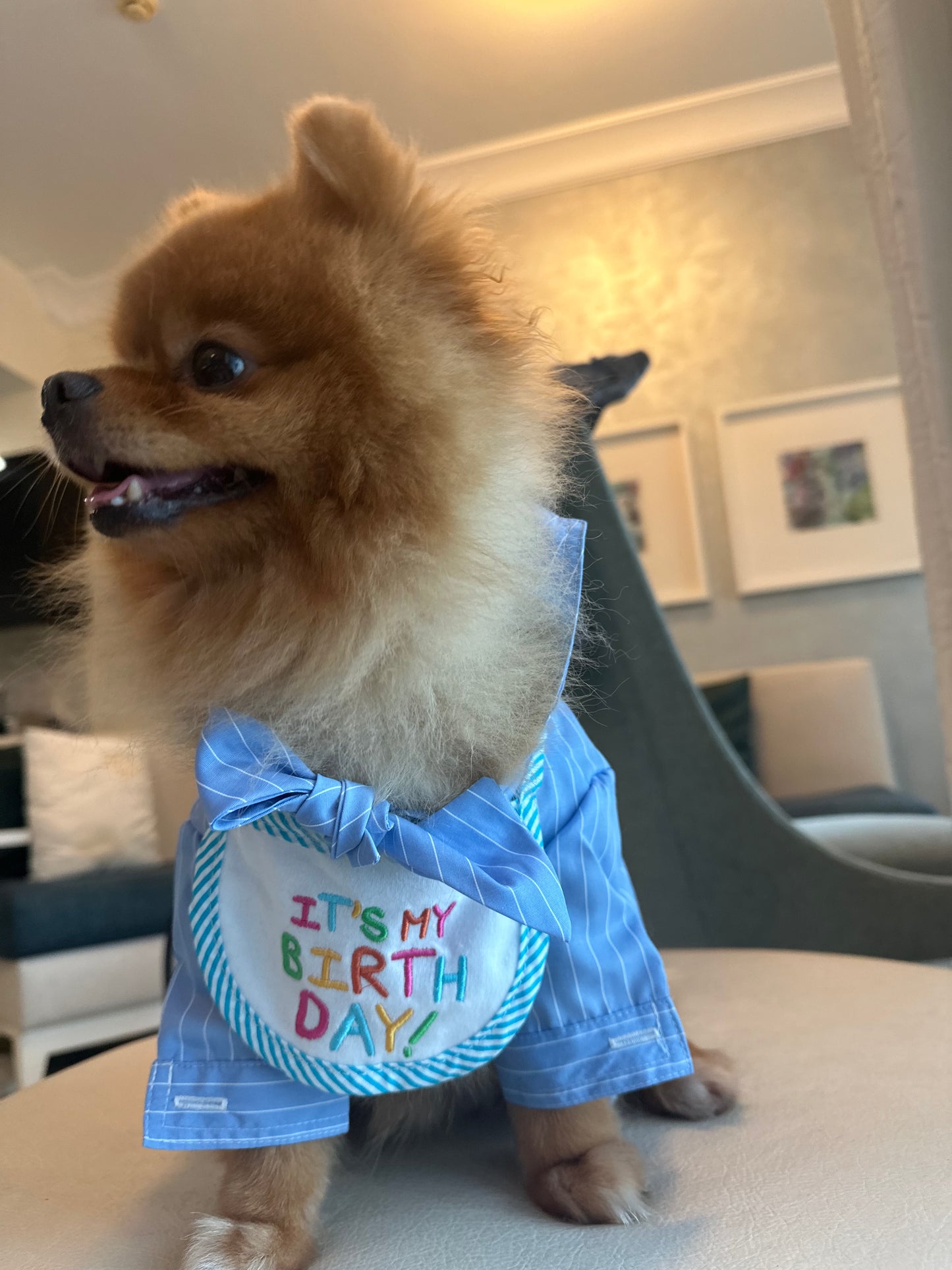 Birthday Bib