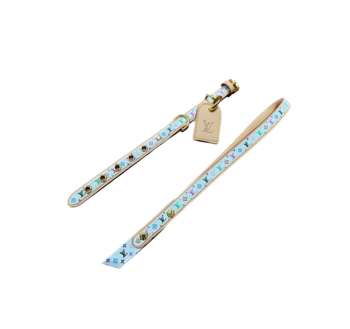 VI Collar & Leash Set