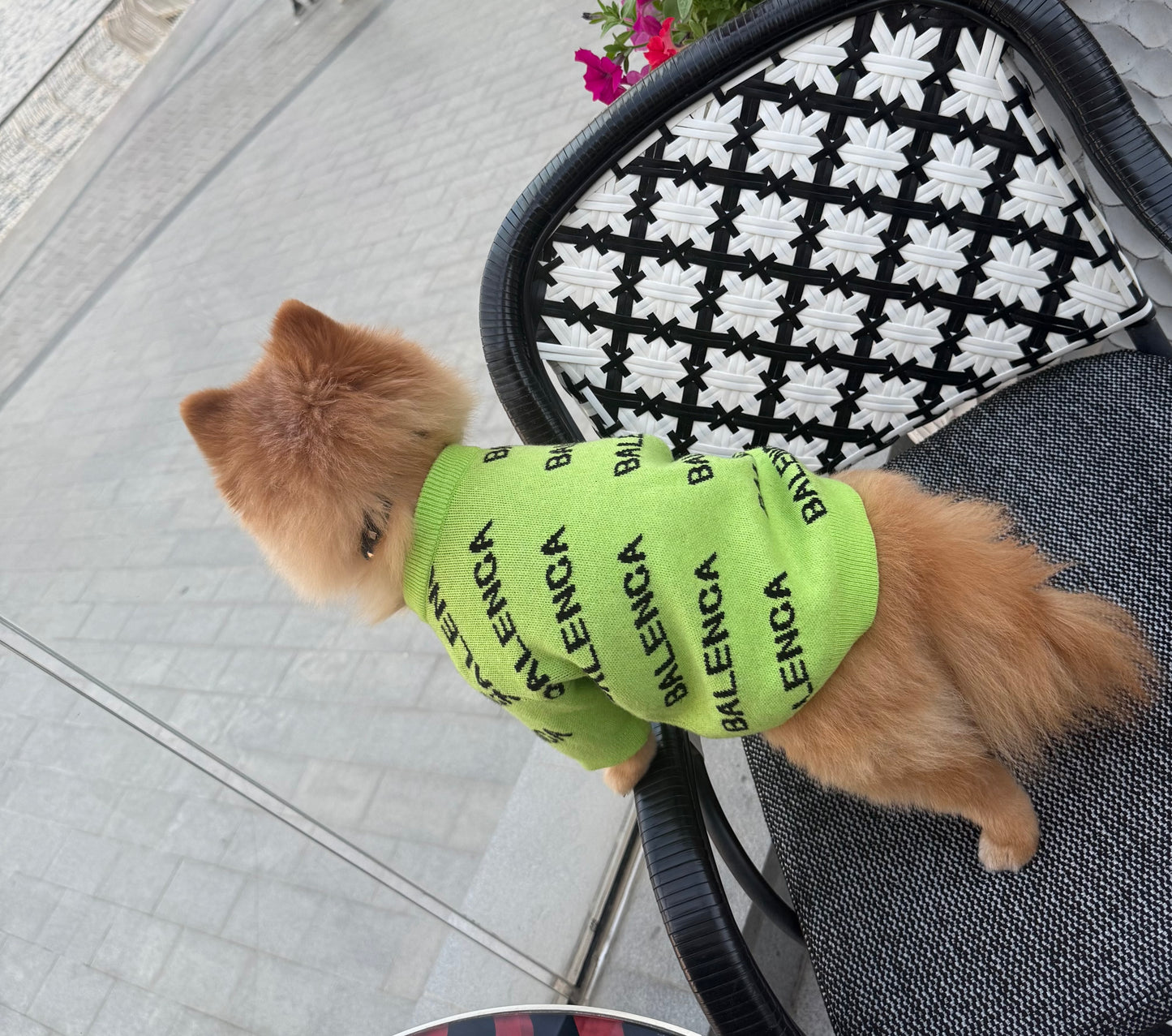 Balenca Sweater
