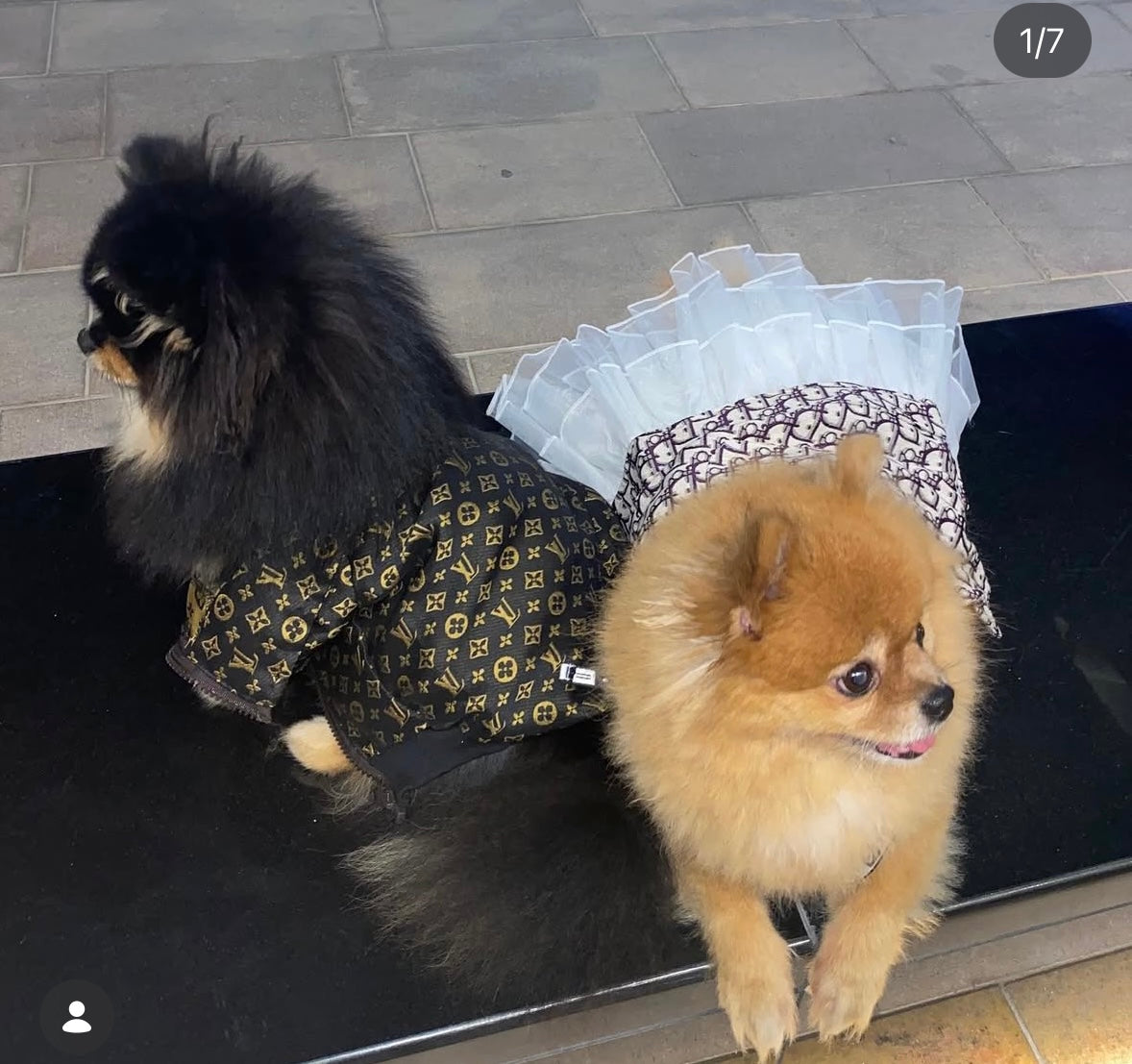 DD Veil Dress