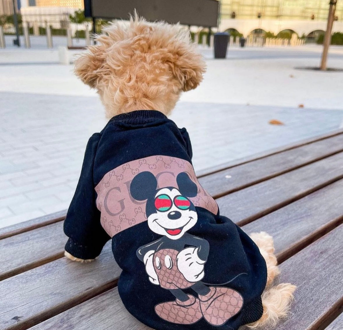 GG x Mickey Hoodie