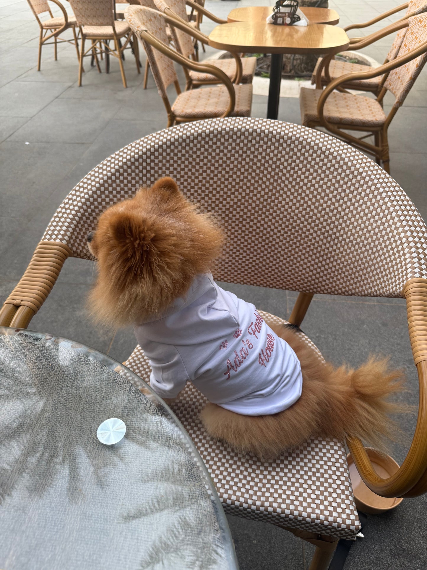 Ada’s Fashion House Iconic Hoodie