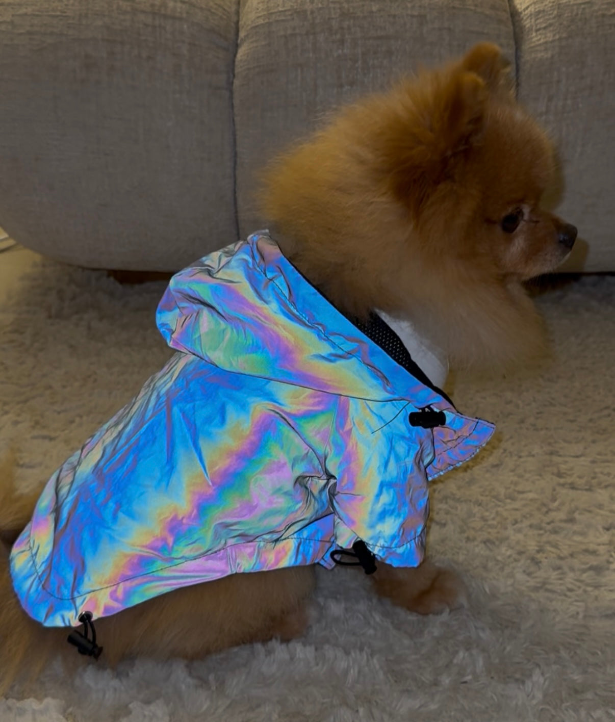 Reflektive WindBreaker