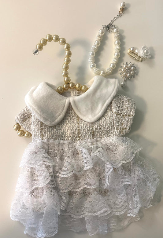 AYLA DRESS & ACCESSORIES