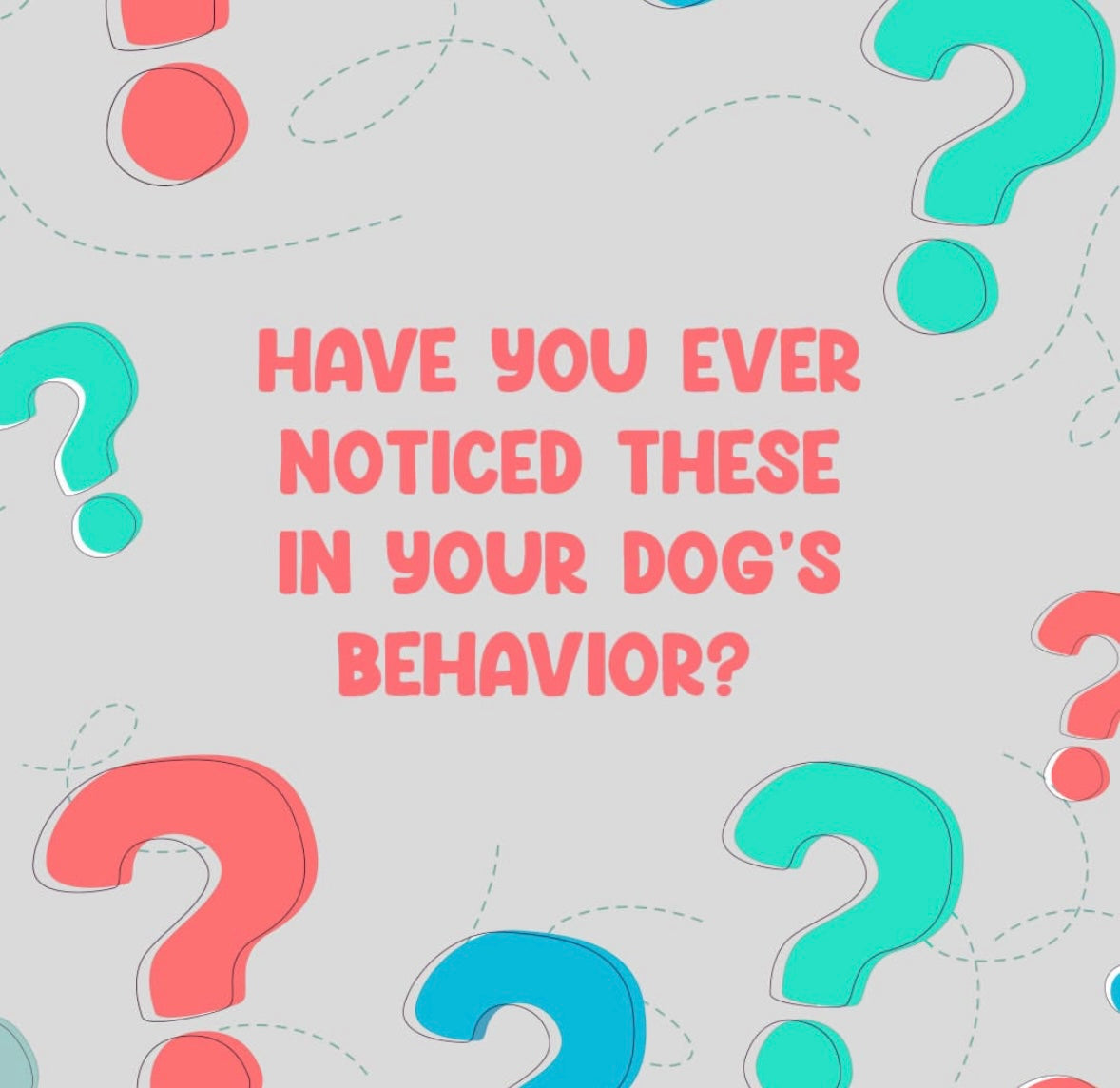 PUPEX Digestive Support