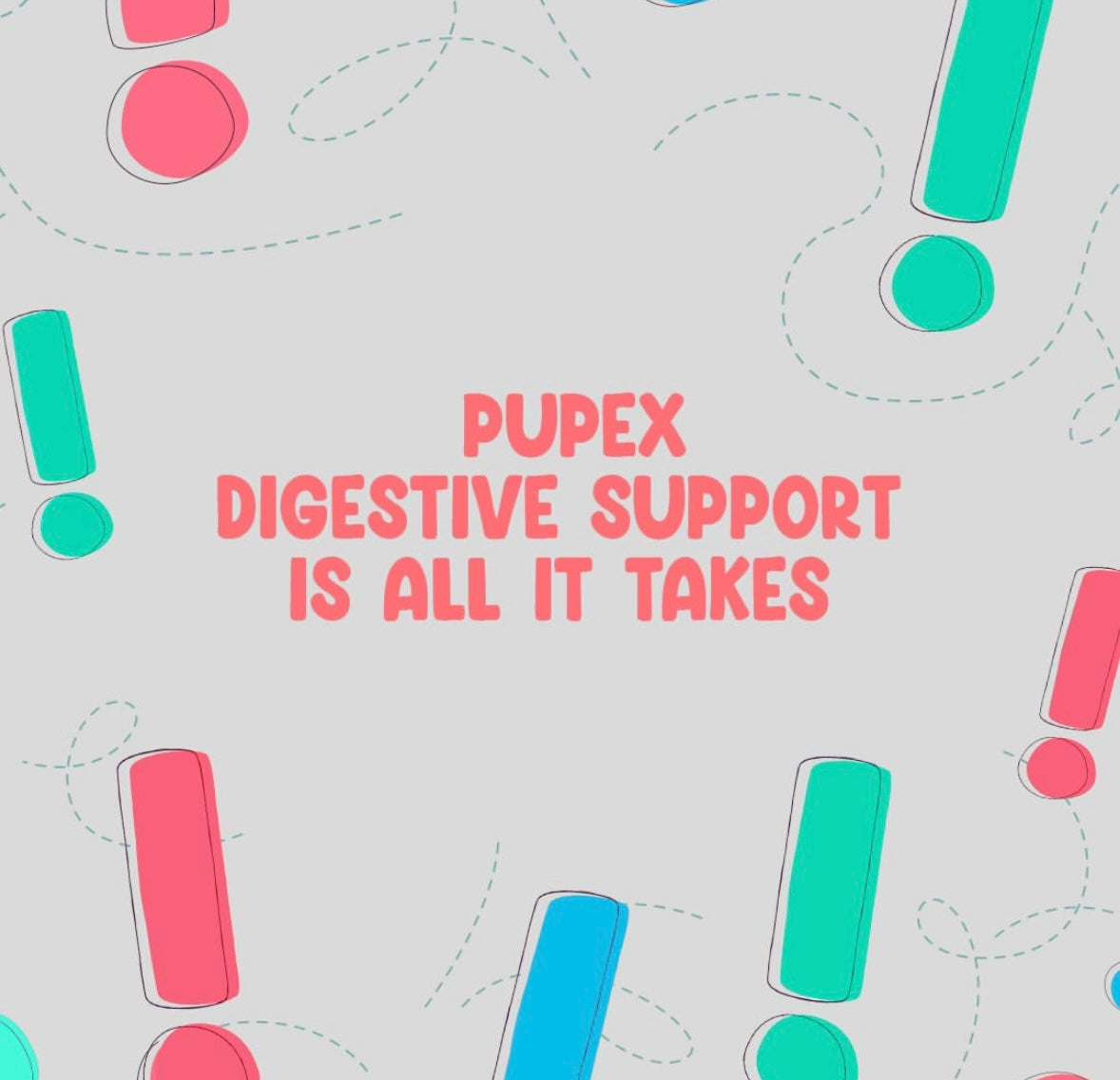 PUPEX Digestive Support