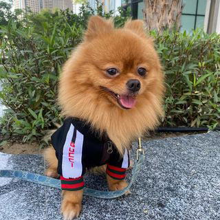 GG Cropped Zip-Up Jacket