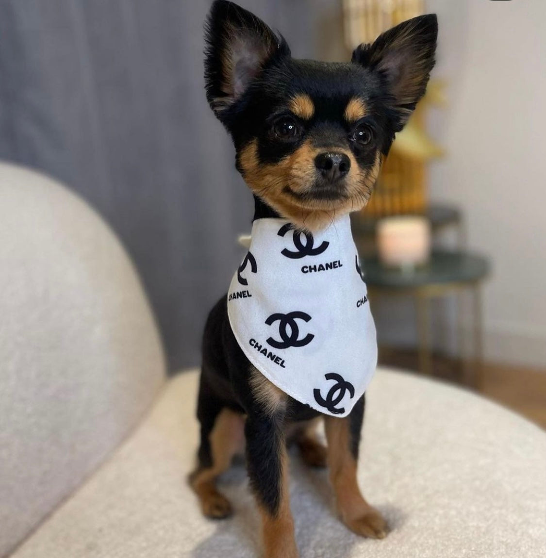 CC Bandana