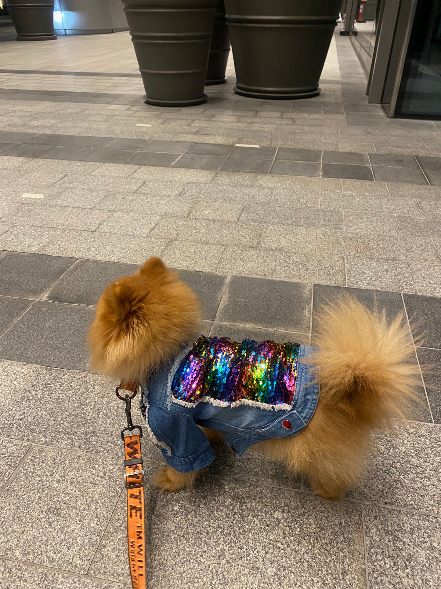 Rainbow Denim Jacket ( Limited Edition )