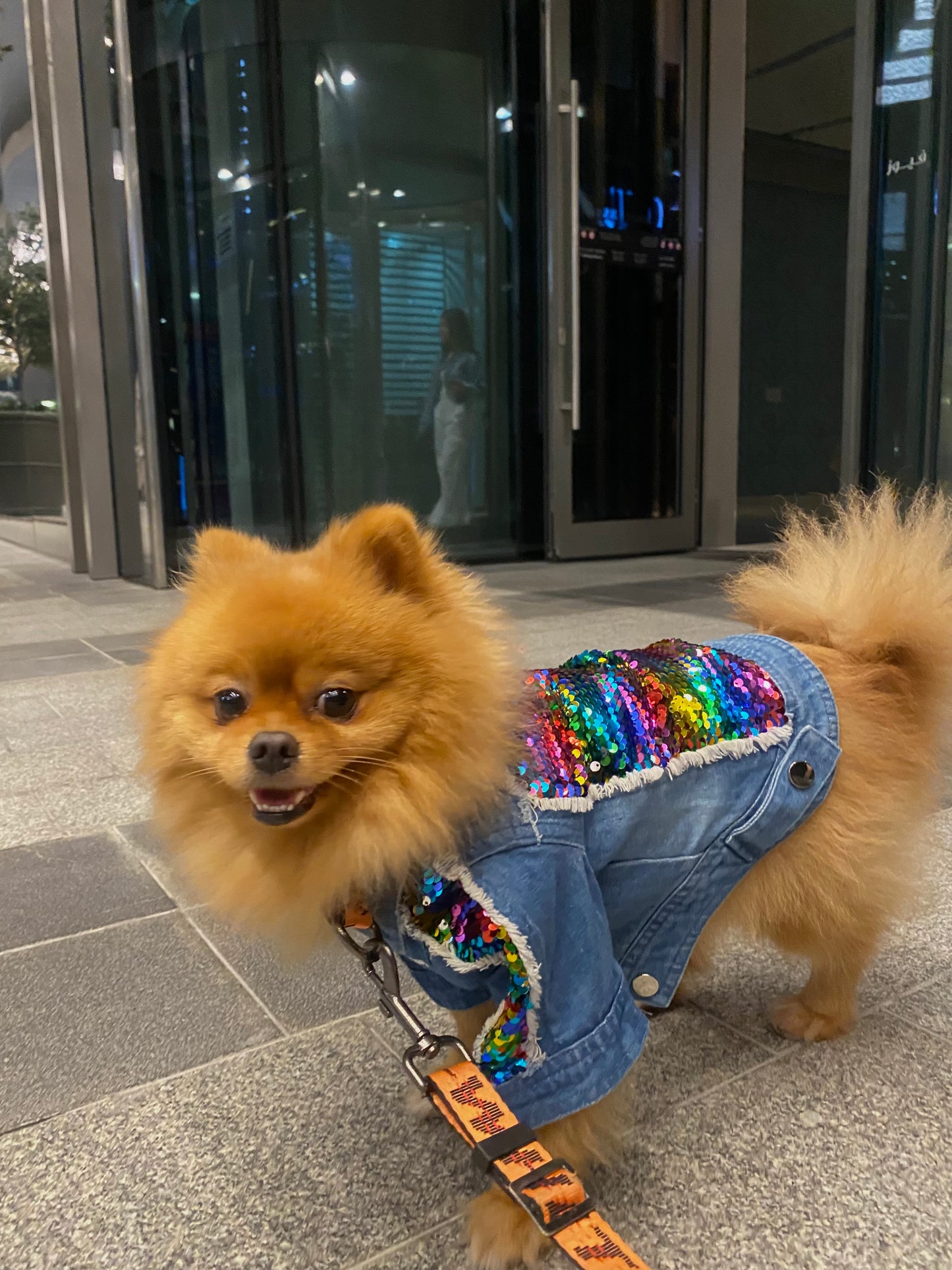 Rainbow Denim Jacket ( Limited Edition )