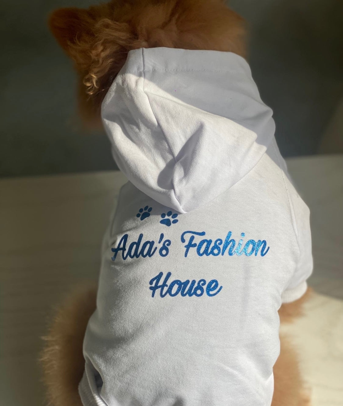 Ada’s Fashion House Iconic Hoodie